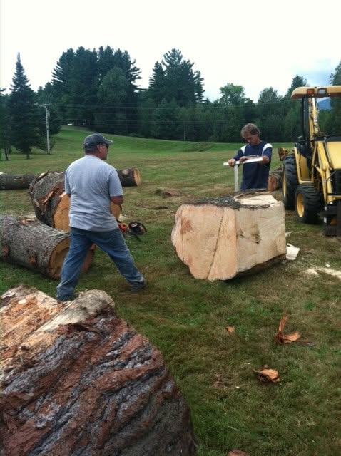 Preparing the logs, August 2012